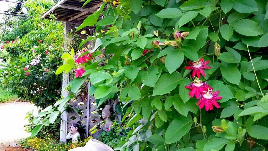 Lampang Lanna Home Exterior photo