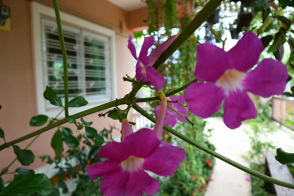 Lampang Lanna Home Exterior photo